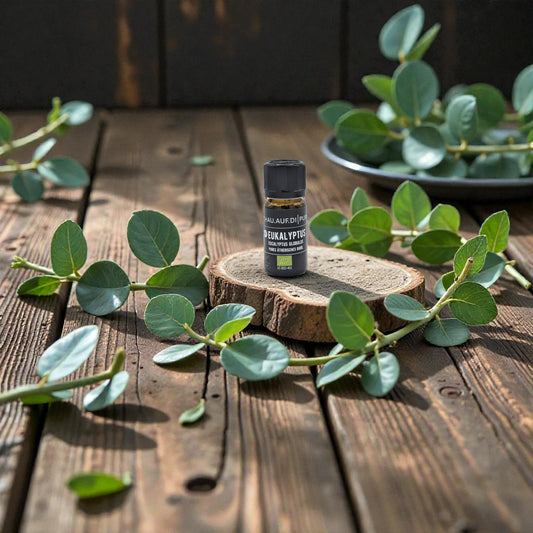 eucalyptus essential oil