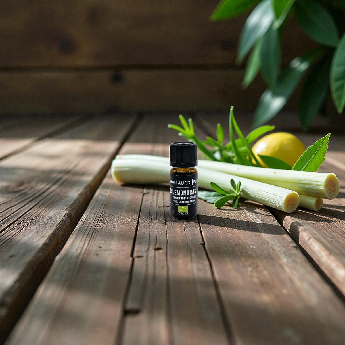 Ätherisches Lemongrasöl – erfrischendes Bio Duftöl