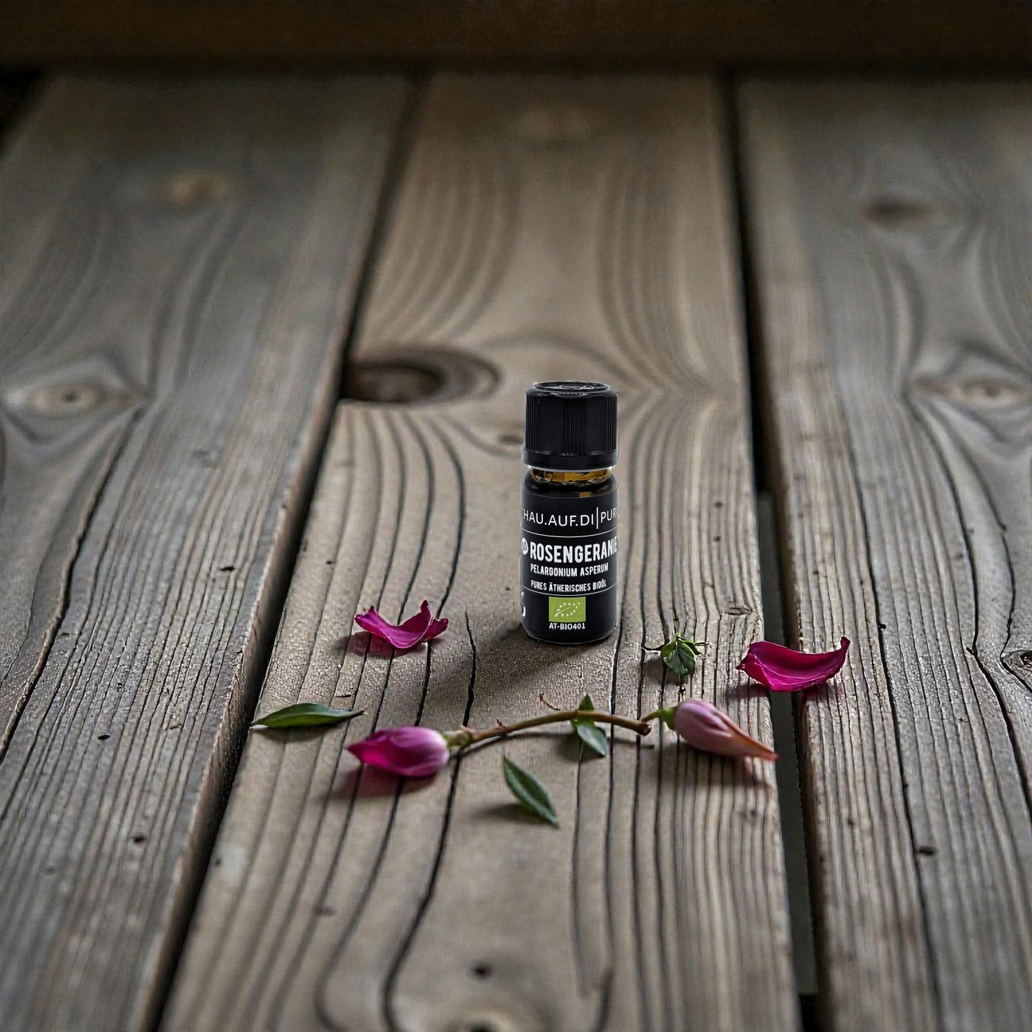 essential rose geranium oil