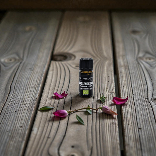 essential rose geranium oil